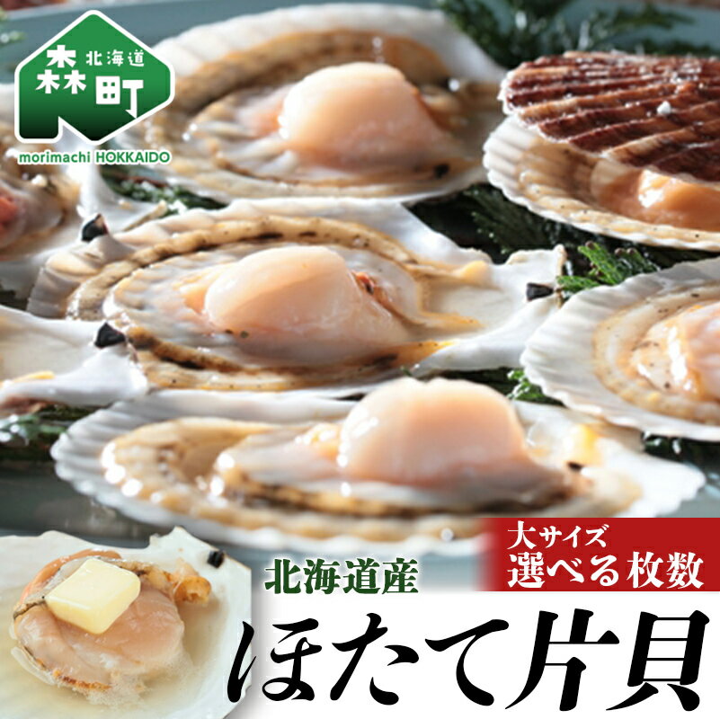 ＼選べる枚数/ [緊急支援品]北海道産 ほたて片貝 20枚入 or 40枚入[ワイエスフーズ] 森町 ほたて 帆立 ホタテ 海産物 魚貝類 ふるさと納税 北海道 mr1-0595var