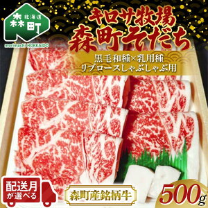【ふるさと納税】【配送月が選べる】北海道森町産銘柄牛【キロサ牧場森町そだち】 リブロースしゃぶしゃぶ用 500g 北海道産 セット ふるさと納税 北海道 mr1-0745var