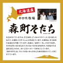 北海道森町の画像2