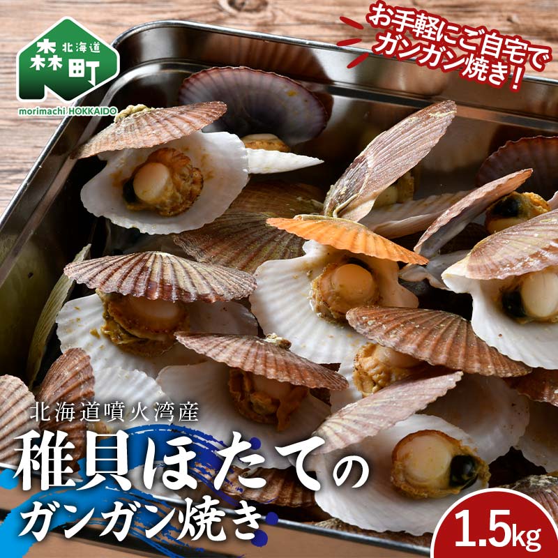 ڤդ뤵Ǽǡ ճۤ 󥬥Ƥ 1.5kg ̳ƻʮѻ ʪ ù ۤ Ω ۥ   Į դ뤵...