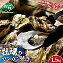 【ふるさと納税】 北海道噴火湾産 牡蠣のガンガン焼き 1.5kg 海産物 加工品 ほたて 帆立 ホタテ 魚介類 海鮮 森町 ふるさと納税 mr1-0982