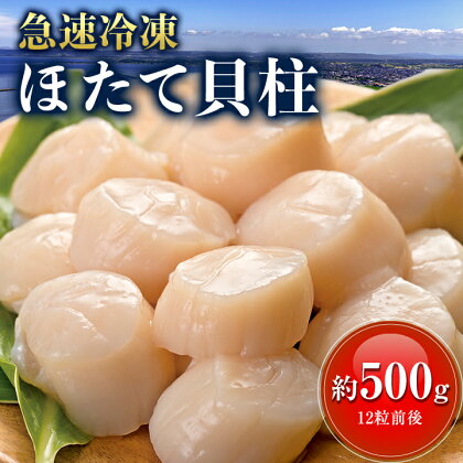 【食べて応援】 大サイズ ホタテ _【緊急支援品】Lサイズ 貝柱 12粒前後 約500g _食べ応えあり肉厚 北海道産 急速冷凍 帆立 刺身 ふるさと納税 ホタテ ほたて ホタテ貝柱 北海道 八雲町 高級 ギフト プレゼント 贈り物 【配送不可地域：離島】【1079573】