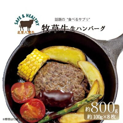 【ふるさと納税】北海道産 オーガニック牛肉 生ハンバーグ約800g【 国産牧草牛・北里八雲牛】【配送不可地域：離島】【1347489】