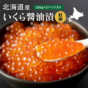 【ふるさと納税】 噴火湾産 いくら 醤油漬け 250g 2パック 500g 冷凍 鮭 いくら イクラ 海鮮丼 醤油漬 北海道 長万部町 長万部 ふるさと納税 海鮮 魚介 おつまみ【060019】