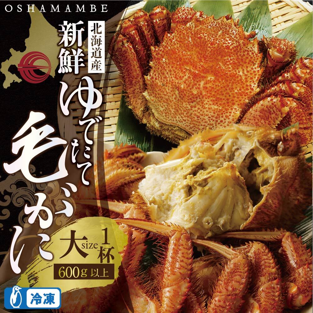 【ふるさと納税】毛がに大サイズ1ハイ(冷凍)【010015】