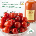 【ふるさと納税】ミニトマト トマトジュース 3箱セット エンリッチミニトマト フルーツトマト フルーツミニトマト お取り寄せ トマト エンリッチ 野菜 ジュース 健康 栄養 GABA リコピン ふるさと納税 北海道 長万部町 長万部【070002】
