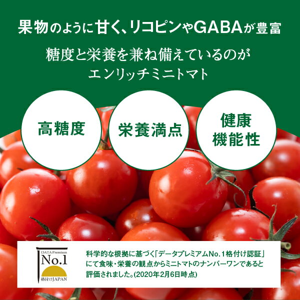 【ふるさと納税】【先行予約】ミニトマト トマトジュース 3箱セット エンリッチミニトマト フルーツトマト フルーツミニトマト お取り寄せ トマト エンリッチ 野菜 ジュース 健康 栄養 GABA リコピン ふるさと納税 北海道 長万部町 長万部【070002】