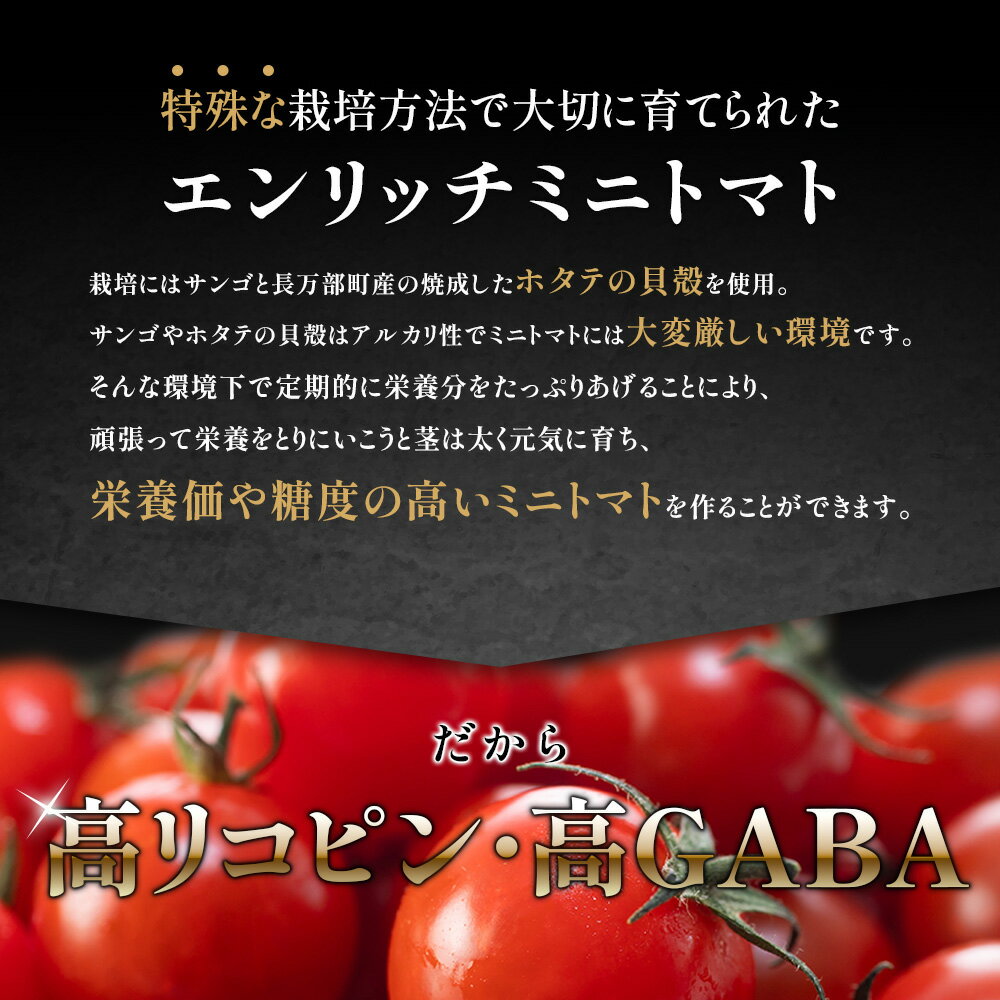 【ふるさと納税】【先行予約】『定期便：全5回』 トマトジュース 300ml ジャム 200g ケチャップ 1本 エンリッチミニトマト お取り寄せ トマト エンリッチ 野菜 ジュース 健康 栄養 GABA リコピン 定期便 5ヶ月 5回 ふるさと納税【070005】