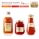 【ふるさと納税】『定期便:全5回』 トマトジュース 300ml ジャム 200g ケチャップ 1本 エンリッチミニトマト お取り寄せ トマト エンリッチ 野菜 ジュース 健康 栄養 GABA リコピン 定期便 5ヶ月 5回 ふるさと納税【070005】