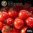【ふるさと納税】【高糖度11以上】プレミアムエンリッチミニトマト 300g | ミニトマト プレミアム エンリッチ 高糖度 トマト フルーツトマト リコピン GABA 新鮮 野菜 甘い プレゼント ギフト 贈り物 北海道 長万部町 長万部【070007】