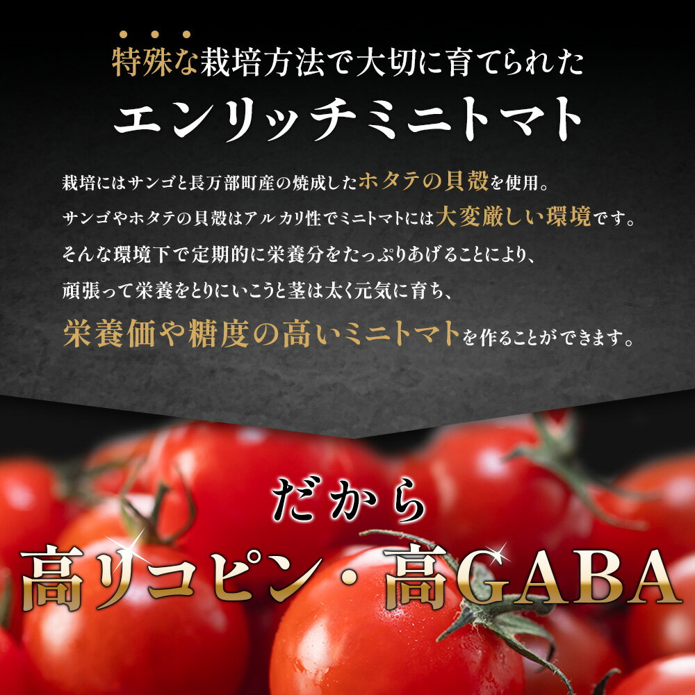 【ふるさと納税】エンリッチミニトマトジュース 300ml×3本セット | トマトジュース エンリッチ ミニ トマト 高糖度 フルーツトマト リコピン GABA 美容 健康 安心 野菜 ジュース 甘い ギフト 贈り物 北海道 長万部町 長万部【070010】