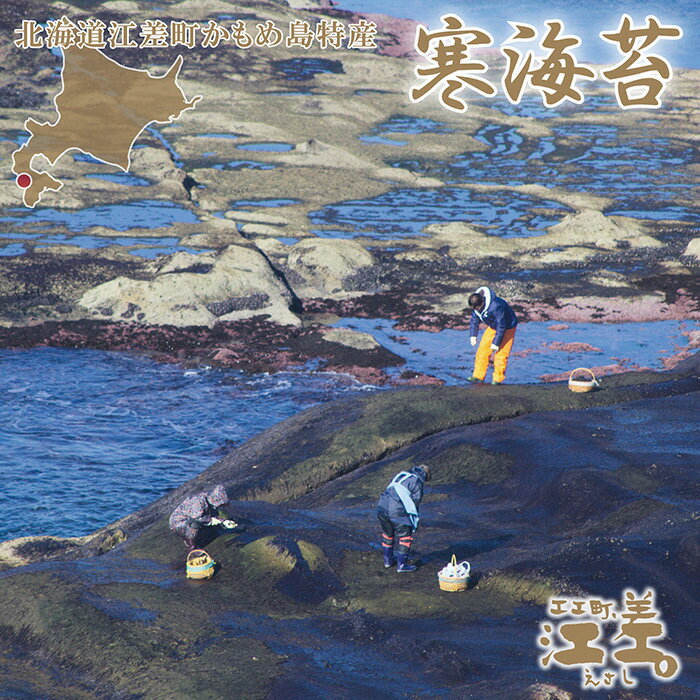 【ふるさと納税】《数量限定・期間限定》北海道産江差かもめ島の寒海苔天然・無添加・手摘み手打ちの最高級品「厳寒期のかもめ島で手摘みし、昔ながらの手作業で作られる希少な岩のりです」