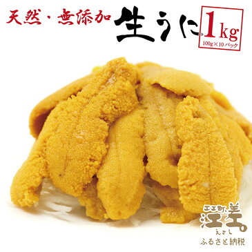 【ふるさと納税】《 5月～順次発送》北海道 江差前浜産 生うに 1kg（100g × 10パック）【天然・無添加・みょうばん不使用】江差産キタムラサキウニ　日本海熊石産海洋深層水　塩水ウニ　素材を生かした自然の味　採れたて新鮮　とろける美味さ　国産