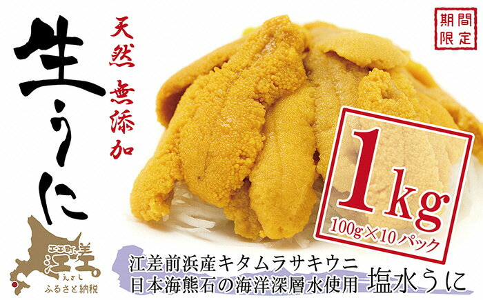 【ふるさと納税】《 5月～順次発送》北海道 江差前浜産 生うに 1kg（100g × 10パック）【天然・無添加・みょうばん不使用】江差産キタムラサキウニ　日本海熊石産海洋深層水　塩水ウニ　素材を生かした自然の味　採れたて新鮮　とろける美味さ　国産