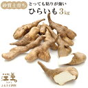 北海道産 ひらいも 3kg　砂質土育ち とっても粘りが強い 北海道の山芋　もちもち食感　露地もの　無漂白　ねばり芋　やまと芋　長芋　自然薯　山かけ　とろろ　いももち　豚汁