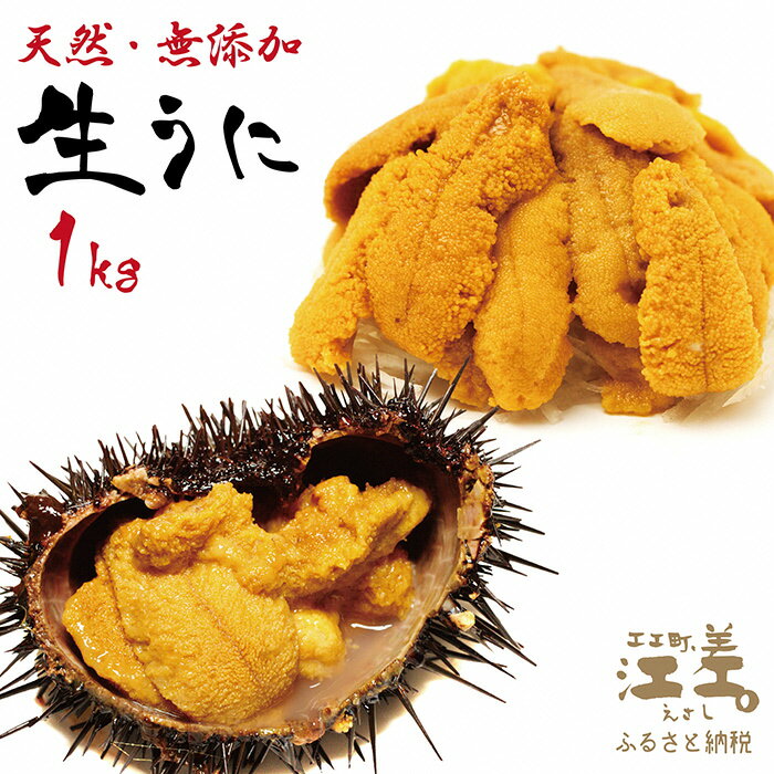 【ふるさと納税】北海道 江差前浜産 生うに たっぷり 1kg（100g×10パック）【無添加・みょうばん不使用】江差産キタムラサキウニ　日本海熊石産海洋深層水　塩水ウニ　素材を生かした自然の味　国産うに　雲丹　100グラムパック個包装　とろける美味しさ