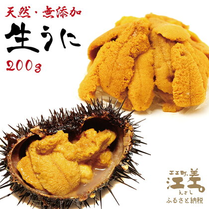 【2024年先行予約】北海道 江差前浜産 生うに 200g（100g×2パック）【無添加・みょうばん不使用】江差産キタムラサキウニ　日本海熊石産海洋深層水　塩水ウニ　素材を生かした自然の味　国産うに　雲丹　100グラムパック個包装