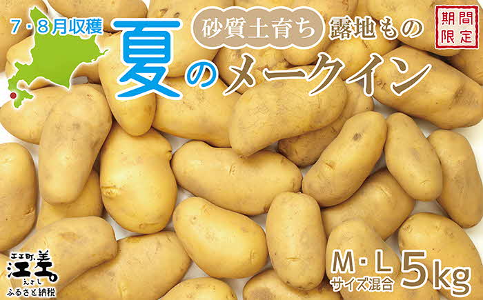 【ふるさと納税】★お申込み順に出荷中★砂質土育ち「夏」メークイン M・L混合5kg　北海道江差町産　露地もの　江差産メークイン　北海道のじゃがいも　芋の塩煮　肉じゃが　カレー　シチュー　コロッケ　色々なお料理に　北海道産　ほくほく