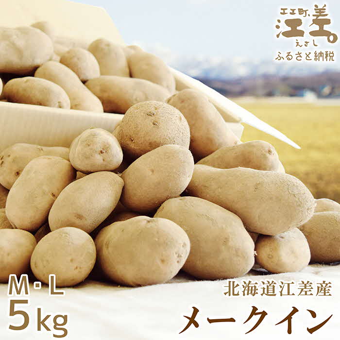 【ふるさと納税】《早期予約 8月下旬から出荷予定》北海道産 メークイン 5kg M L混合 しっとり甘い江差産 北海道のじゃがいも 芋の塩煮にぴったり 訳あり じゃがバター いかの塩辛と一緒にどうぞ