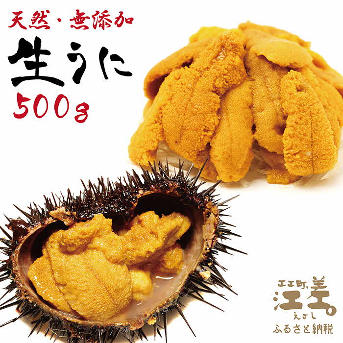 【ふるさと納税】北海道 江差前浜産 生うに 500g（100g×5パック）【無添加・みょうばん不使用】江差産...