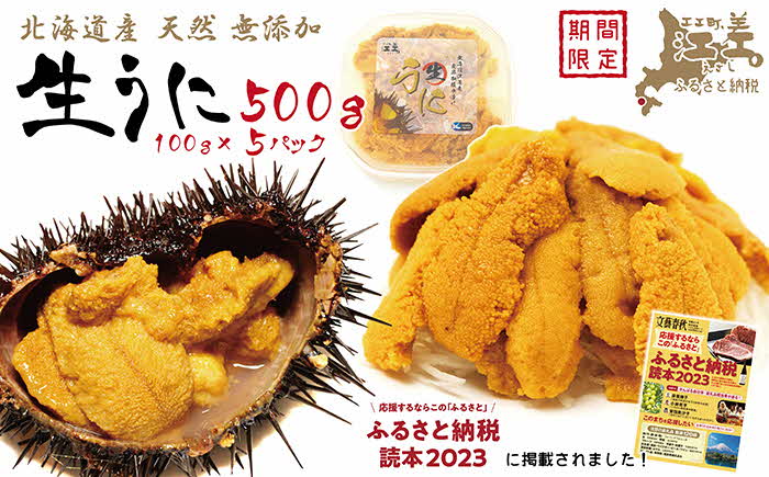 【ふるさと納税】北海道 江差前浜産 生うに 500g（100g×5パック）【無添加・みょうばん不使用】江差産キタムラサキウニ　日本海熊石産海洋深層水　塩水ウニ　素材を生かした自然の味　国産うに　雲丹　100グラムパック個包装