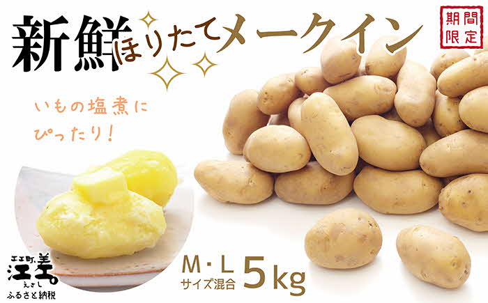 【ふるさと納税】《収穫でき次第、順次出荷いたします》新鮮！ほりたて！「江差産メークイン5kg M・L混合」しっとりほくほく　甘い　北海道産メークイン　北海道のじゃがいも　芋の塩煮にぴったり　じゃがバター　いかの塩辛と一緒にどうぞ