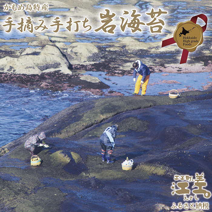 【ふるさと納税】【10セット限定出品】かもめ島の岩海苔〈天然・無添加・手摘み手打ち〉全形10枚　数量限定　北のハイグレード食品2022選定「江差名産 黒のり」　希少な「天然岩ノリ」だけで漁師が手作り　最高級の生干し板海苔