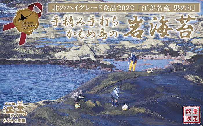 【ふるさと納税】【10セット限定出品】かもめ島の岩海苔〈天然・無添加・手摘み手打ち〉全形10枚　数量限定　北のハイグレード食品2022選定「江差名産 黒のり」　希少な「天然岩ノリ」だけで漁師が手作り　最高級の生干し板海苔