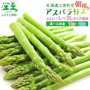 【ふるさと納税】《夏芽 予約受付 6月中旬~順次出荷》 2025年 北海道江差町産 アスパラガス L~2Lサイズ〈選べる容量 1kg・2kg〉 1kgあたり約20本 太い! 甘い! ジューシー! 朝採り 農家直送 新鮮 鮮度保持 北海道 旬野菜 グリーンアスパラ ギフト 贈答