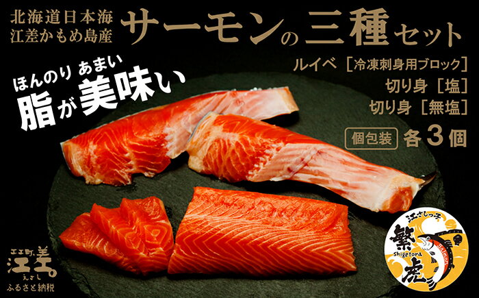 【ふるさと納税】北海道産 サーモンの三種セット ルイベ〈冷凍刺身〉お刺身用ブロック・切り身［塩］・切り身［無塩］ 各3個 計9個　日本海 かもめ島海面養殖　純国産 ブランドサーモン『江さしっ子 繁虎』　とろける脂　冷凍　小分け　個包装　トラウトサーモン