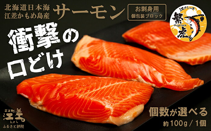 【ふるさと納税】＼配送月指定可／北海道産 サーモン お刺身用ブロック 〈個数が選べる〉 100グラムパック 個包装　純国産ブランドサーモン『江さしっ子 繁虎』　生食可　小分け　刺身　サーモンステーキ　のし対応可　贈答用　ギフト　お中元　お歳暮