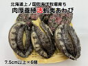 【ふるさと納税】海洋牧場育ち養殖活蝦夷あわび(7.5cm以上×6個) 活アワビ 鮑 海鮮 産地直送 魚介類 海の幸 おせち エゾアワビ 冷蔵 アワビ BBQ バーベキュー 蝦夷鮑