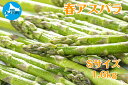【ふるさと納税】【2026年春発送】寅福菜園の朝採り春アスパラ S(1.6kg) グリーンアスパラ 朝採れ 農家直送 新鮮 甘い 春野菜 旬野菜 特産品 北海道産