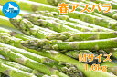 【ふるさと納税】【2026年春発送】寅福菜園の朝採り春アスパラ M(1.6kg) グリーンアスパラ 朝採れ 農家直送 新鮮 甘い 春野菜 旬野菜 特産品 北海道産