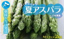 ・ふるさと納税よくある質問はこちら ・寄付申込みのキャンセル、返礼品の変更・返品はできません。あらかじめご了承ください。 ・ご要望を備考に記載頂いてもこちらでは対応いたしかねますので、何卒ご了承くださいませ。 ・寄付回数の制限は設けておりません。寄付をいただく度にお届けいたします。 商品詳細 名称 【ふるさと納税】【2024年夏発送】北海道上ノ国町産 朝採り当日発送 刀祢農園の夏アスパラ M～L（2kg）アスパラガス グリーンアスパラ アスパラ 北海道 朝採れ 朝採り 産地直送 野菜 送料無料 商品概要 歯ざわりがよく、すっきりとくせのないやさしい味。夏野菜の料理にぜひ加えてみてください。収穫したての北海道アスパラガスを産地直送いたします！ ※発送期日：7月上旬〜8月末（予定） 【注意事項】 ※沖縄及び離島へはお届けできません。 ※画像はイメージです。 ※返礼品の消費期限が7日間の為、ご不在等（受け取ることが出来ない日）がある場合はお知らせください。 ※お申込限度数に達した場合は、予告なく締切日前にお申込みを締切る場合がございますので、あらかじめご了承ください。 ※天候や生育状況により出荷時期が前後する場合がありますので、あらかじめご了承ください。 ※出荷時期になりましたら別途メールにてご案内いたします。 ※ご不明な点がございましたら、下記問い合わせ先までご連絡いただきますようお願い申し上げます。 事業者：刀祢農園 ◆お礼の品のお問合せ先◆ 上ノ国開発株式会社 連絡先：0139-56-7781 内容量 M～L（2kg） 消費期限 発送日を含め7日間 産地名 北海道上ノ国町産 ワンストップ特例申請書について ■ワンストップ特例申請書 申請書を受領書と一緒にお送りしますので、必要情報を記載の上返送してください。 ワンストップ特例申請書は、入金確認後（寄付証明書と同封）住民票住所へお送りいたします。ご記入後下記宛先へ返送ください。 〒049-0611 北海道檜山郡上ノ国町字大留100番地 総務課政策推進室宛1. 産業の振興に関する事業 2. 医療又は福祉の増進に関する事業 3. 地域づくり支援に関する事業 4. 自然環境の保全に関する事業 5. 青少年育成及びスポーツ振興に関する事業 6. 歴史遺産の保全及び活用に関する事業 7. その他目的達成のために町長が必要と認める事業 入金確認後、注文内容確認画面の【注文者情報】に記載の住所にお送りいたします。 発送の時期は、寄附確認後2ヵ月以内を目途に、お礼の特産品とは別にお送りいたします。