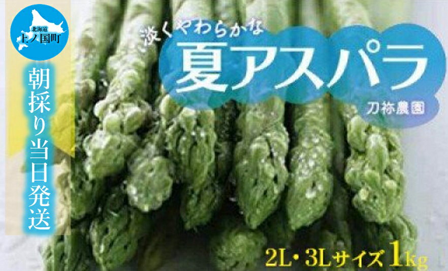 北海道上ノ国町産 朝採り当日発送 刀祢農園の夏アスパラ 2L～3L（1kg）アスパラガス グリーンアスパラ アスパラ 北海道 朝採れ 朝採り 産地直送 野菜 送料無料