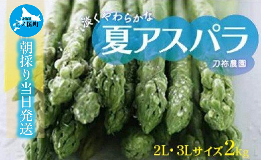 北海道上ノ国町産 朝採り当日発送 刀祢農園の夏アスパラ 2L～3L（2kg）アスパラガス グリーンアスパラ アスパラ 北海道 朝採れ 朝採り 産地直送 野菜 送料無料