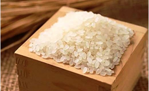 【ふるさと納税】北海道上ノ国町産 令和5年産「自然乾燥米ふっくりんこ」 5kg　有機肥料を使用　自然乾燥のお米　しっとり食感　ふっくらこ食感