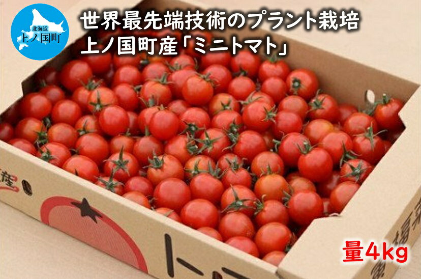 [2024年]北海道上ノ国町産 寅福菜園のミニトマト(4kg)