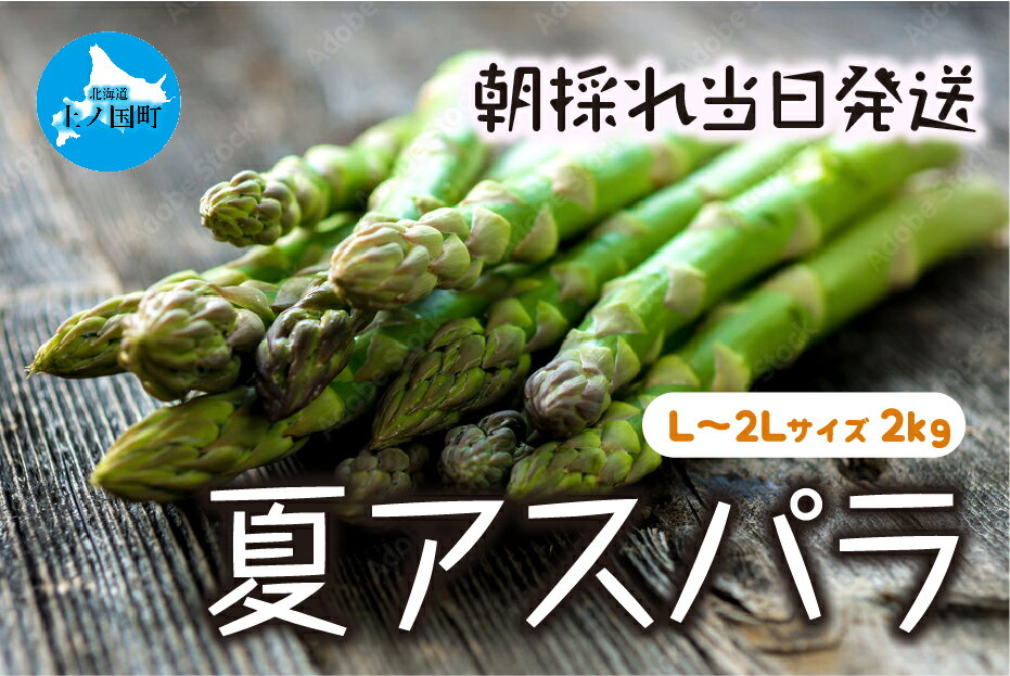 【ふるさと納税】【2024年夏発送】北海道上ノ国町産 わかさ農園の朝採れ 夏アスパラ L～2L（2kg）　ア...