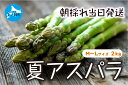 16位! 口コミ数「0件」評価「0」【2024年夏発送】北海道上ノ国町産 わかさ農園の朝採れ 夏アスパラ M～L（2kg）アスパラガス グリーンアスパラ アスパラ 北海道 朝採･･･ 