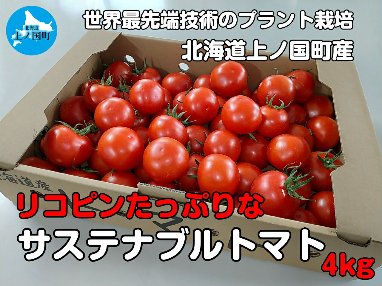 11位! 口コミ数「0件」評価「0」【2024年】北海道上ノ国町産 寅福菜園の高リコピントマト「サステナブルトマト」 4kg