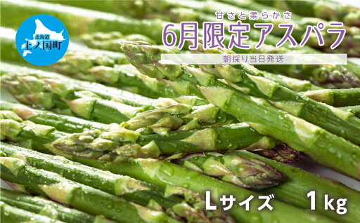 【ふるさと納税】【2025年6月発送】北海道上ノ国町産 寅福菜園の朝採れ6月限定アスパラ L(1kg) アスパラガス グリーンアスパラ 朝採り 産地直送 野菜 送料無料 【ふるさと納税】【2025年6月発送】北海道上ノ国町産 寅福菜園の朝採れ6月限定アスパラ L(1kg) アスパラガス グリーンアスパラ 朝採り 産地直送 野菜 送料無料