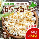 5位! 口コミ数「0件」評価「0」北海道産こめ油使用ポップコーン うす塩味（厚沢部町産とうもろこし使用）60g×24袋 ふるさと納税 人気 おすすめ ランキング ポップコーン･･･ 