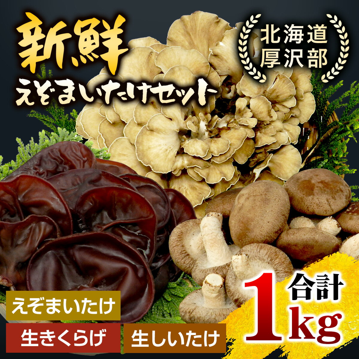 【ふるさと納税】北海道厚沢部町産　新鮮えぞまいたけセット ふるさと納税 人気 おすすめ ランキング えぞまいたけ まいたけ 舞茸 マイタケ きくらげ キクラゲ しいたけ 椎茸 椎茸 旨味 おいしい 歯ごたえ 北海道 厚沢部 送料無料 ASM004