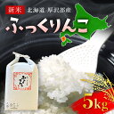 29位! 口コミ数「0件」評価「0」【令和5年産新米】北海道厚沢部産ふっくりんこ5kg※2023年11月新米からお届け ふるさと納税 人気 おすすめ ランキング 米 ご飯 ごは･･･ 