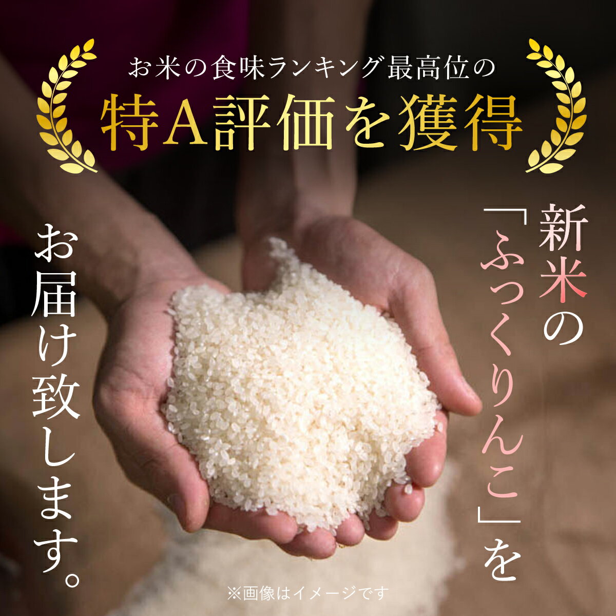 【ふるさと納税】【令和5年産新米】北海道厚沢部産ふっくりんこ10kg※2023年11月新米からお届け ふるさと納税 人気 おすすめ ランキング 米 ご飯 ごはん 白米 ふっくりんこ 精米 つや 粘り 北海道 厚沢部 送料無料 ASG027