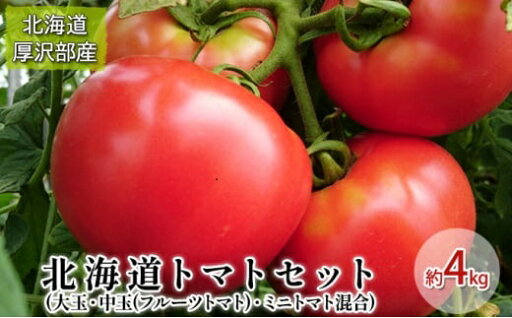 【ふるさと納税】【2025年7月中旬より発送】トマト詰合わせ(大玉・フルーツトマト・ミニトマト)約4kg ふるさと納税 人気 おすすめ ランキング マト とまと フルーツトマト ミニトマト 野菜 赤い リコピン おいしい 北海道 厚沢部 送料無料 ASO005 【ふるさと納税】【2025年7月中旬より発送】トマト詰合わせ(大玉・フルーツトマト・ミニトマト)約4kg ふるさと納税 人気 おすすめ ランキング マト とまと フルーツトマト ミニトマト 野菜 赤い リコピン おいしい 北海道 厚沢部 送料無料 ASO005