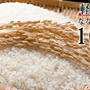 【ふるさと納税】［軽洗米］北海道厚沢部産　ななつぼし　10kg　【お米】　お届け：2020年10月末まで