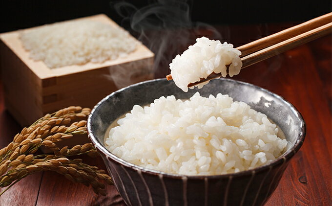 【ふるさと納税】【令和3年産新米・先行予約】北海道厚沢部産ゆめぴりか10kg※2021年11月新米からお届け　【米・お米・ゆめぴりか】　お届け：2021年11月中旬〜